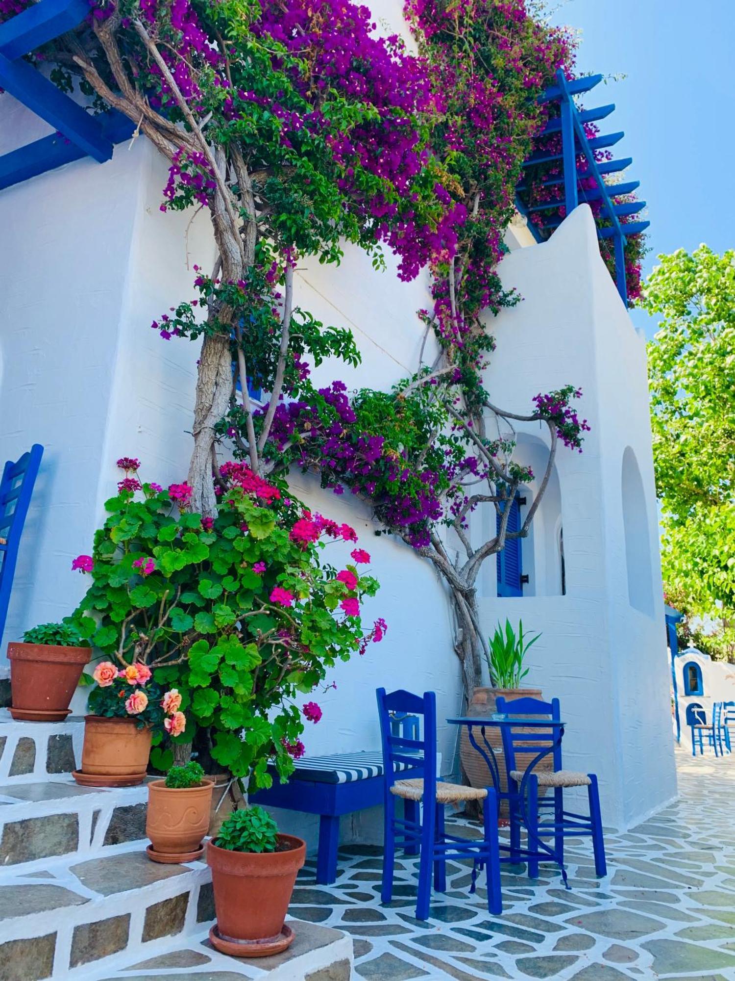 Pelagos Studios Parikia  Exterior photo